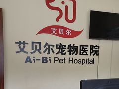 -艾贝尔宠物医院 ·内科全科(梁溪路店)