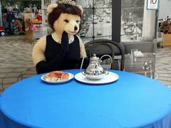 android_upload_pic-济州岛泰迪熊博物馆