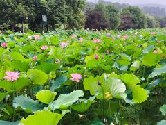 -韶山毛泽东同志故居