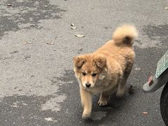 -王大乔泡椒米线·小火锅(星城天地店)