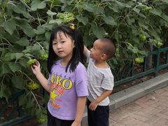 -五通灯塔公园