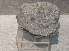 -甘肃地质博物馆