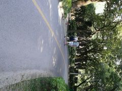 android_upload_pic-府山公园