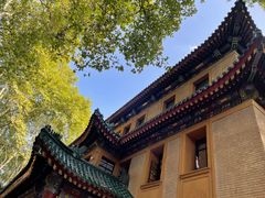 -新白鹿餐厅(金鹰新街口店)