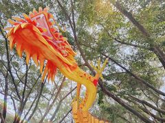 -广东圆玄道观