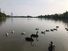 -艾溪湖湿地公园