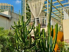 -三圣花乡旅游区