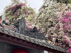 -深圳国际园林花卉博览园