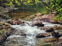 -祁门牯牛降观音堂风景区