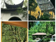 -杭州黄龙洞