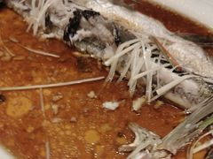 -丹江渔村(望京店)