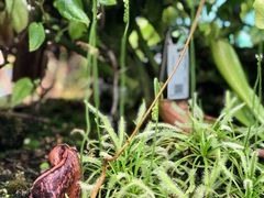 -上海辰山植物园