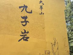 -花红徽菜(九华山青阳店)