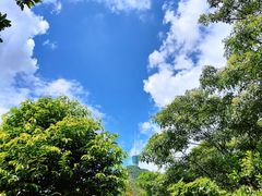 -梧桐山风景名胜区