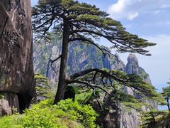 -黄山风景区