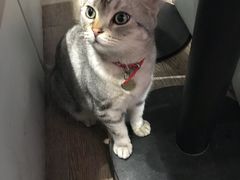 -小时光咖啡馆(开森度假森林店)