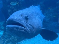-海合安青岛极地海洋公园