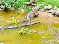 -云南野生动物园