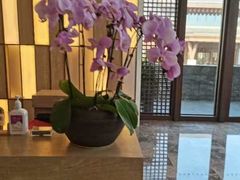 -水月周庄铂尔曼酒店-水月荟中餐厅