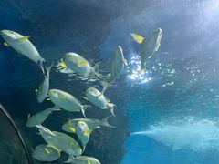 -福州罗源湾海洋世界旅游区