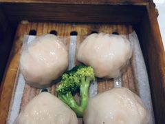-鹅城