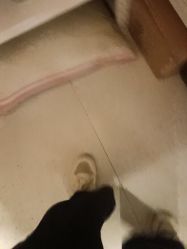 -Dr.林醫生产后修复·超级店(南京江宁同曦店)