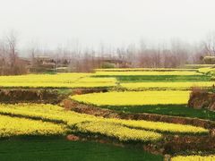 -浆木咖啡馆(湘子庙街店)