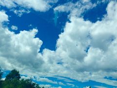 -清真益鑫羊肉手抓馆(南大街店)