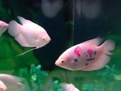 -常州海昌海洋探索馆