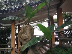 -鹅岭公园瞰胜楼