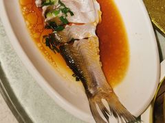 -金美华轩(东方路齐鲁店)