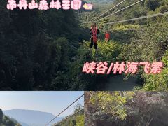 -南丹山森林王国