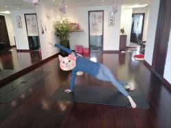 -Yvon yoga 瑜伽·精准体态管理中心