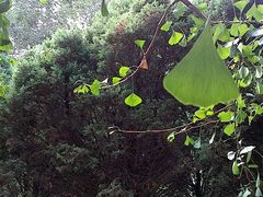 -辽宁大学(崇山校区)