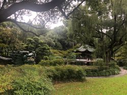 -丁香花园申粤轩·宴会厅