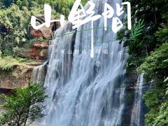 -赤水丹霞旅游区·佛光岩