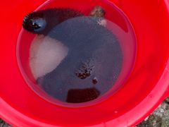 -三亚太阳湾柏悦酒店