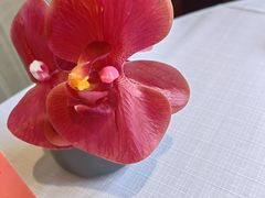 -新雅粤菜馆(南京东路店)