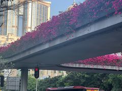 -东风公园