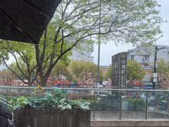 -麦当劳(塔园路店)