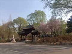 -石家庄市植物园