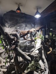 -Zoolung Zoolung动物主题公园(海信广场店)