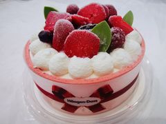 夏洛特蛋糕冰淇淋-哈根达斯(青岛海信店)
