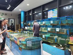 水产区-锦里海景海鲜餐厅.三亚老字号(亚龙湾中心广场店)