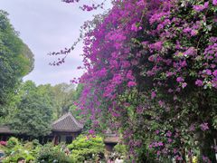 -成都杜甫草堂博物馆