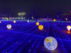 -华夏文旅海洋公园