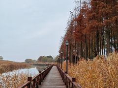 -太湖湖滨国家湿地公园-停车场