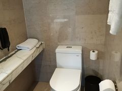 -上海龙之梦万丽酒店