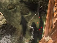 -耕渔小院·湖南鱼鲜(望城店)