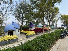 -上海滴水湖皇冠假日酒店